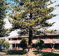Eastern Beach Holiday Units - Accommodation Perth