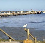 Seaview Motel and Holiday Units - Accommodation Perth