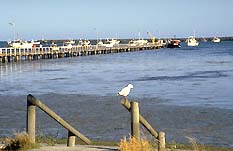 Seaview Motel And Holiday Units - Accommodation Perth 0