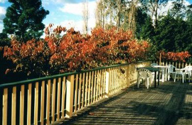 Heronswood House - Accommodation Perth 5