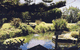 Bayside Gardens - thumb 0