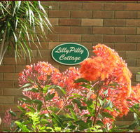 Lillypilly - Accommodation Perth