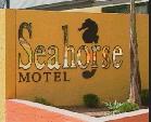 Seahorse Motel - Accommodation Perth 1