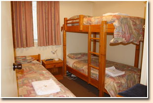 Snow View Holiday Units - Accommodation Perth 2