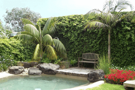 The Tropicana Motor Inn - Accommodation Perth 2