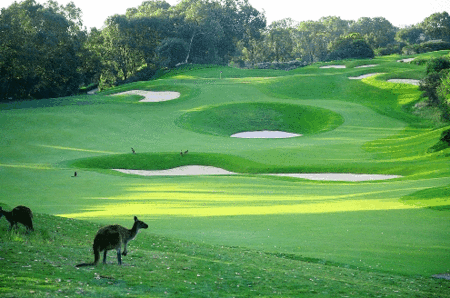 Joondalup Resort - thumb 1