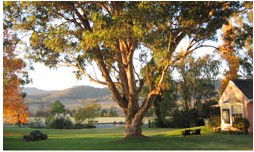 Belltrees Country House - Accommodation Perth 2