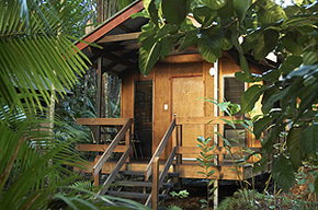 Cape Trib Beach House - Accommodation Perth 0