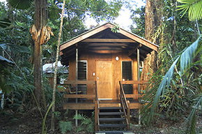 Cape Trib Beach House - Accommodation Perth 3