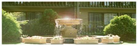Best Western Tall Trees Motel - Accommodation Perth 2