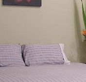 Stingo Hotel - Accommodation Perth