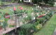 Kintail Homestay - thumb 0