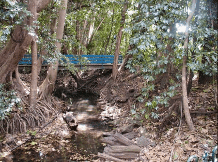 Rainforest Grove Holiday Resort - Accommodation Perth 3