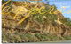 Kirriemuir Motel And Cabins - thumb 2