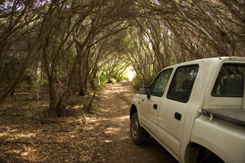 Nampara Cabins - Accommodation Perth 1