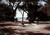 Acacia Caravan Park - Accommodation Perth 4
