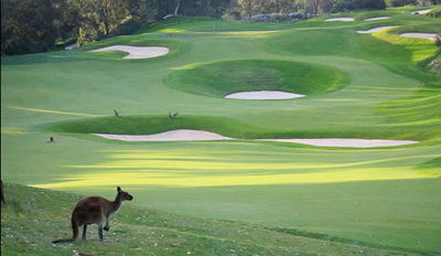 Joondalup Resort - Accommodation Perth 9