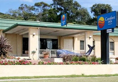 Comfort Inn Albany - Accommodation Perth 0