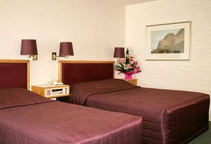 Comfort Inn Albany - Accommodation Perth 4