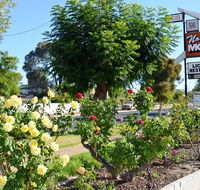 Narrogin Motel - Accommodation Perth