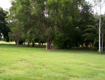 Daly River Mango Farm - Accommodation Perth 1