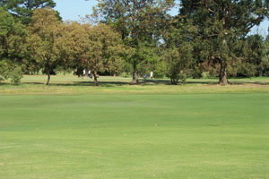Beach Motor Inn - Accommodation Perth 7