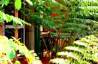 Mission Beach Rainforest Motel - Accommodation Perth 3
