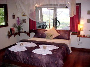 Daintree Cloud 9 - Accommodation Perth 0