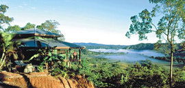 Daintree Cloud 9 - Accommodation Perth 1