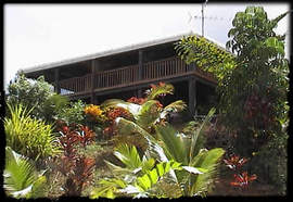Daintree Manor - Accommodation Perth 5