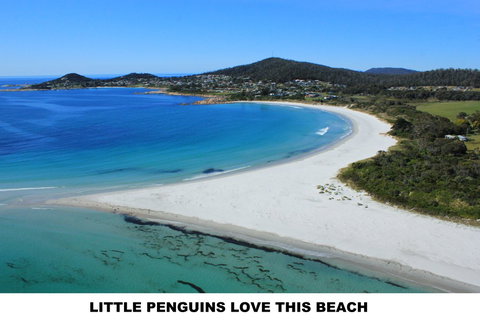 Diamond Island Resort - Accommodation Perth 5