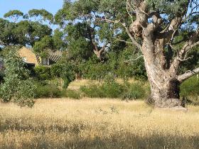 Springton SA Accommodation Perth