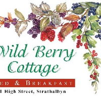 Wild Berry Cottage - Accommodation Perth