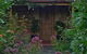 Citrus Cottage - thumb 1