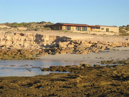 Tiliqua Sunrise - Perth Resorts 3
