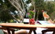 Brooklands Heritage B&B - thumb 1