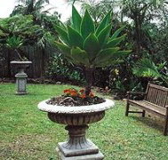 Bangalow Retreat - Accommodation Perth
