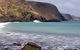 Periwinkles At Second Valley - thumb 1