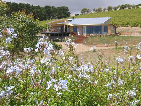 The Blue Grape Vineyard Accommodation - Accommodation Perth 0