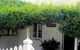 Peppertree Cottage Bed And Breakfast - Normanville - thumb 1
