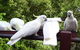 Lorikeet Lane B&B - thumb 0