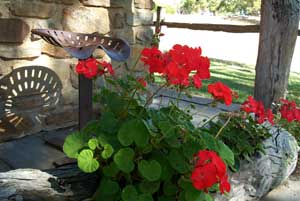 Adelaide Hills Country Cottages - Gum Tree Cottage - Accommodation Perth 3