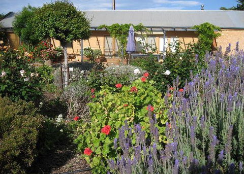 Peechabella Vineyards Bed & Breakfast - Accommodation Perth 3