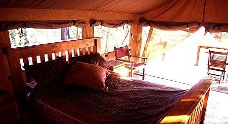 Jabiru Safari Lodge At Mareeba Wetlands - Accommodation Perth 1