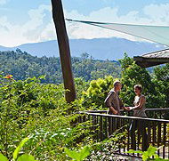 Rose Gums Wilderness Retreat - Accommodation Perth