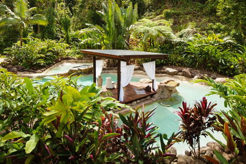 Misty Mountains Tropical Rainforest Romantic Retreat - Accommodation Perth 3