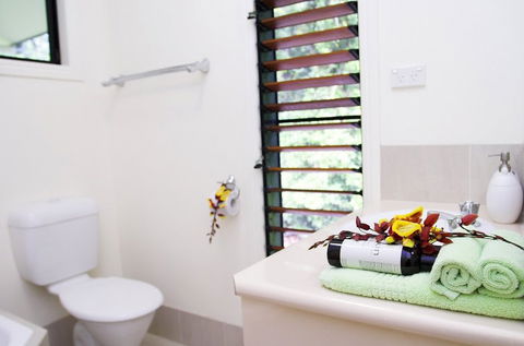 Misty Mountains Tropical Rainforest Romantic Retreat - Accommodation Perth 5