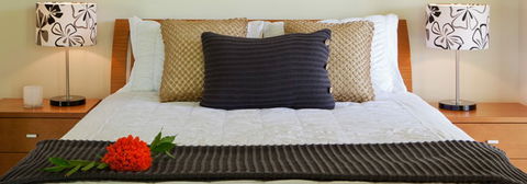 Misty Mountains Tropical Rainforest Romantic Retreat - Accommodation Perth 7