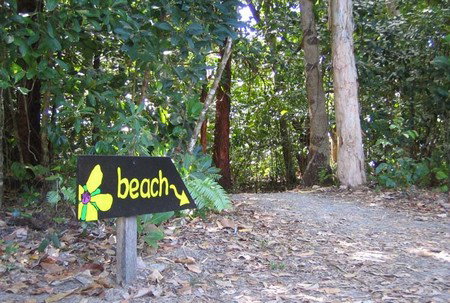 Cape Tribulation Camping - Accommodation Perth 2
