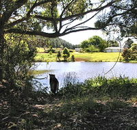 Newry Park Cottage - Accommodation Perth